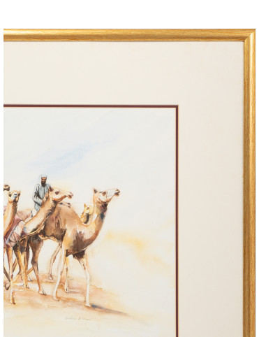 Camel Riders